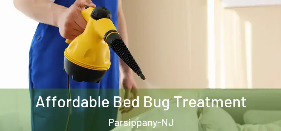  Affordable Bed Bug Treatment Parsippany-NJ