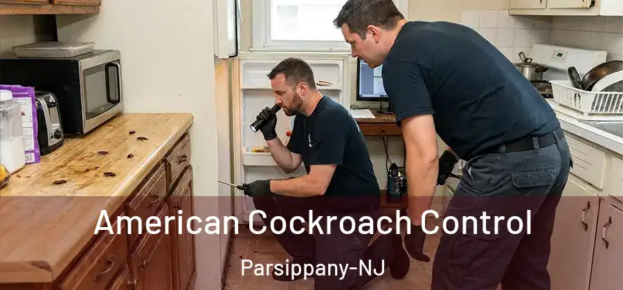 American Cockroach Control Parsippany-NJ