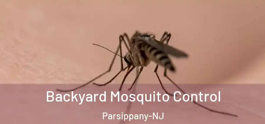  Backyard Mosquito Control Parsippany-NJ
