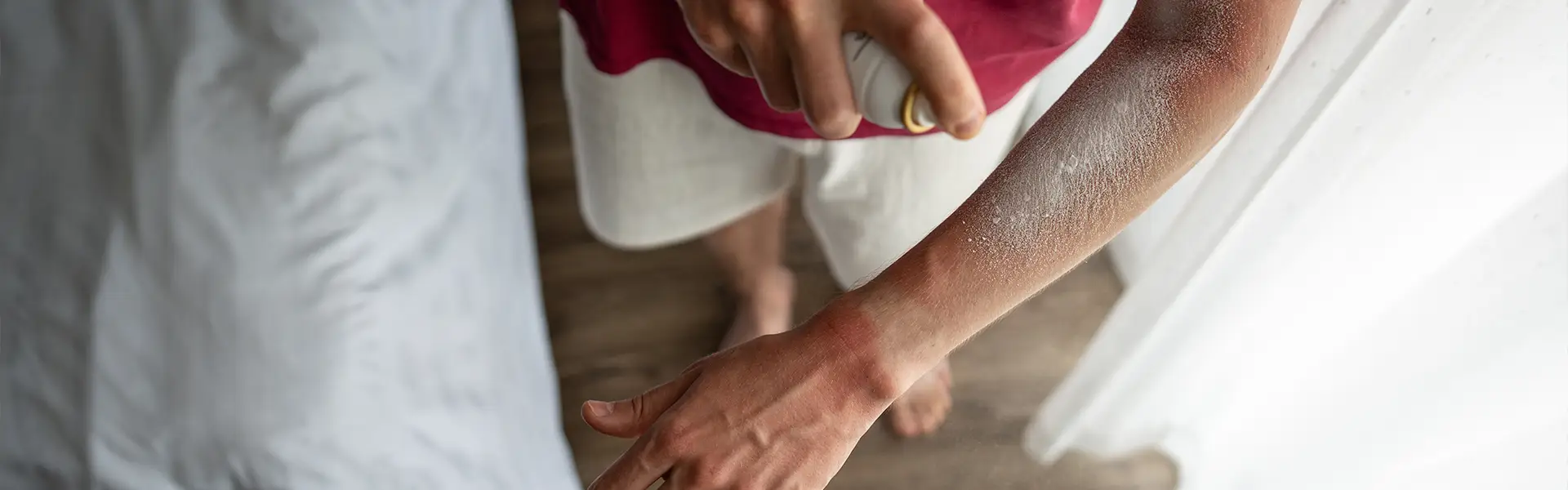 Bed Bug Treatment Options