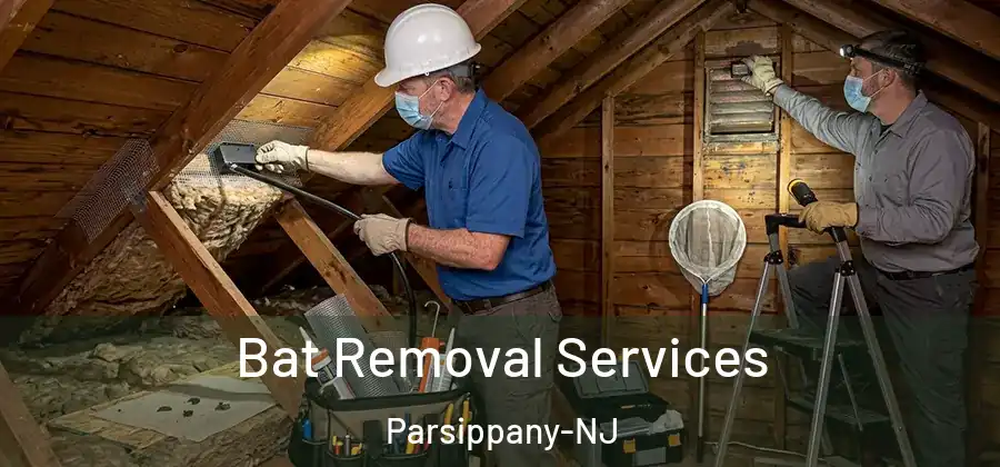 Bat Removal Services Parsippany-NJ