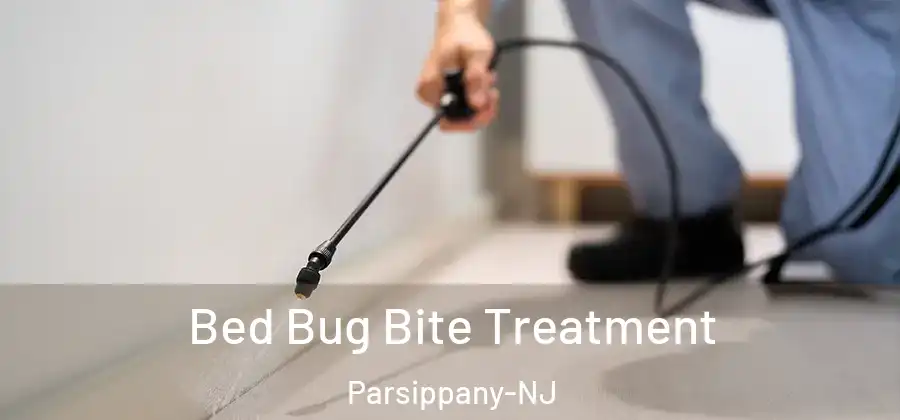 Bed Bug Bite Treatment Parsippany-NJ