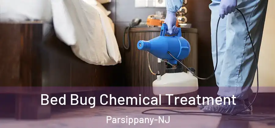  Bed Bug Chemical Treatment Parsippany-NJ
