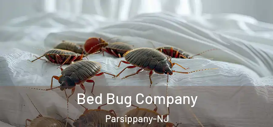 Bed Bug Company Parsippany-NJ