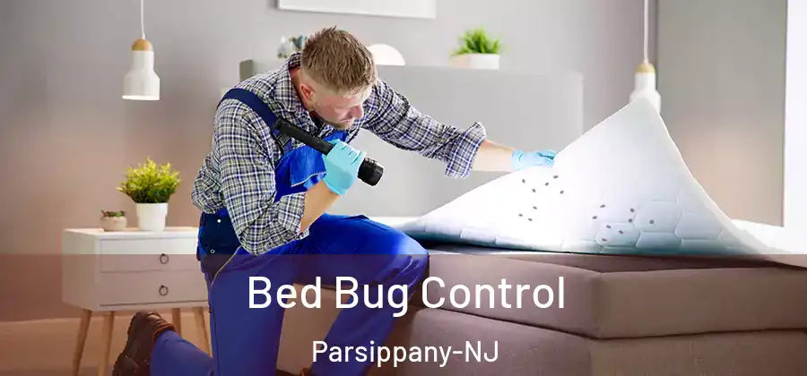  Bed Bug Control Parsippany-NJ