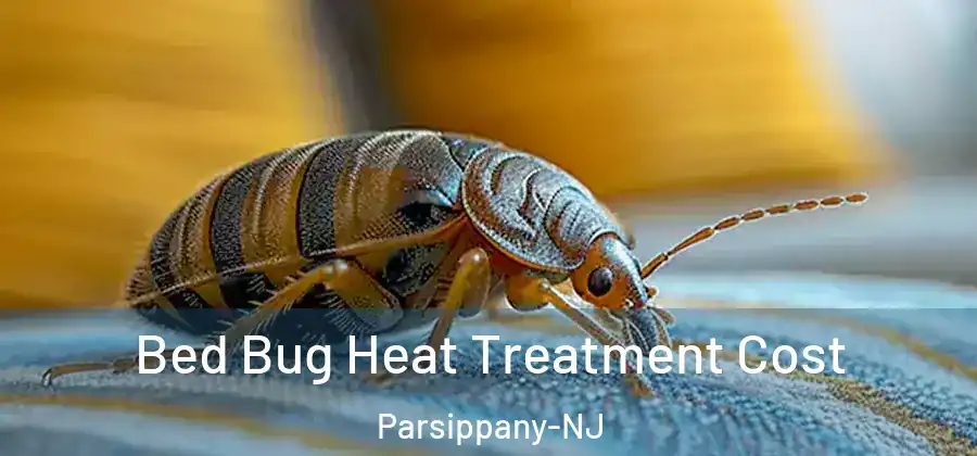  Bed Bug Heat Treatment Cost Parsippany-NJ