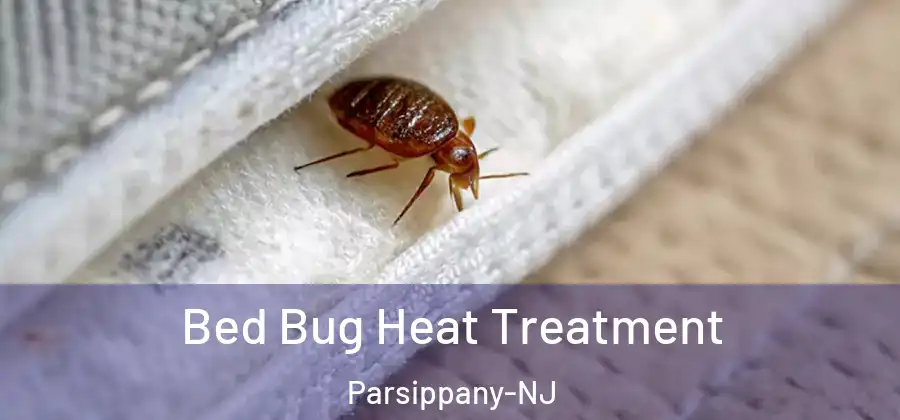 Bed Bug Heat Treatment Parsippany-NJ