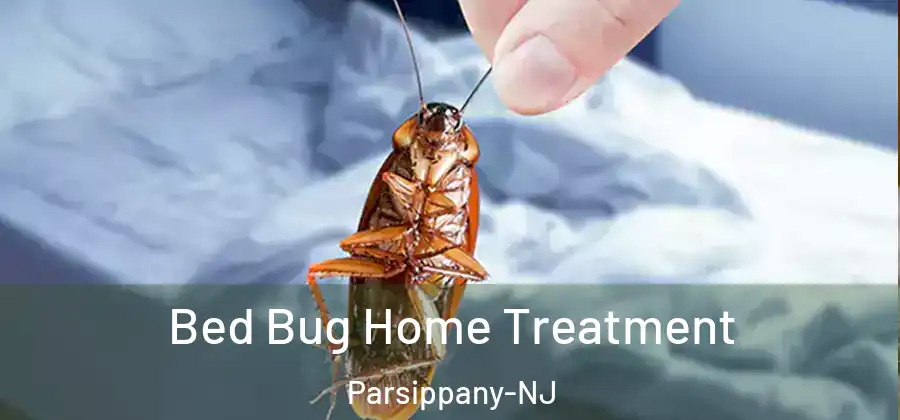 Bed Bug Home Treatment Parsippany-NJ