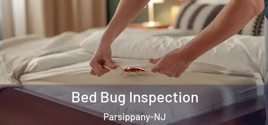 Bed Bug Inspection Parsippany-NJ