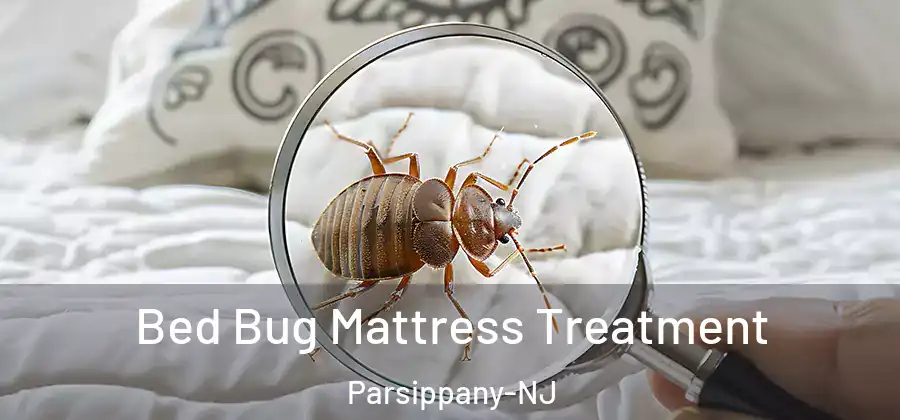 Bed Bug Mattress Treatment Parsippany-NJ