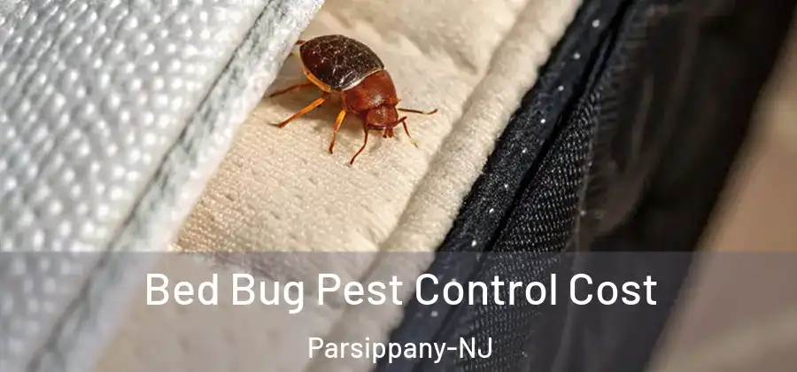 Bed Bug Pest Control Cost Parsippany-NJ