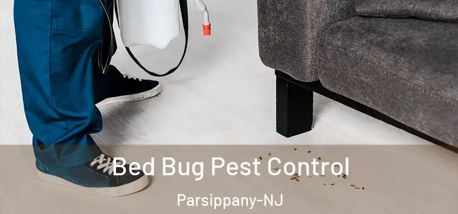 Bed Bug Pest Control Parsippany-NJ