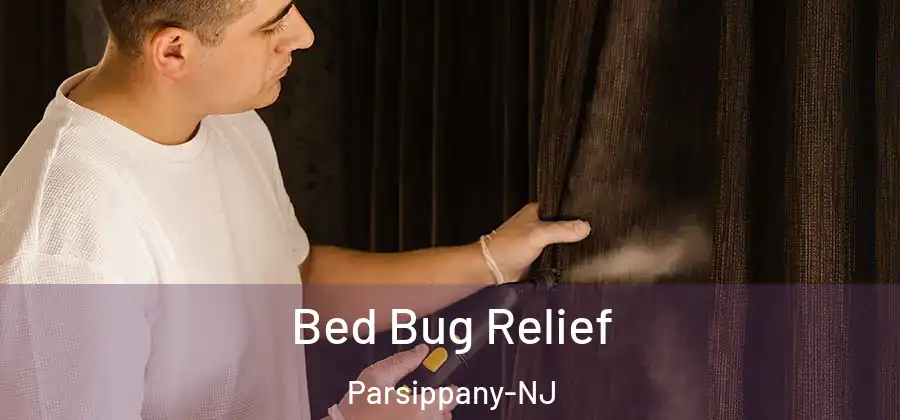Bed Bug Relief Parsippany-NJ