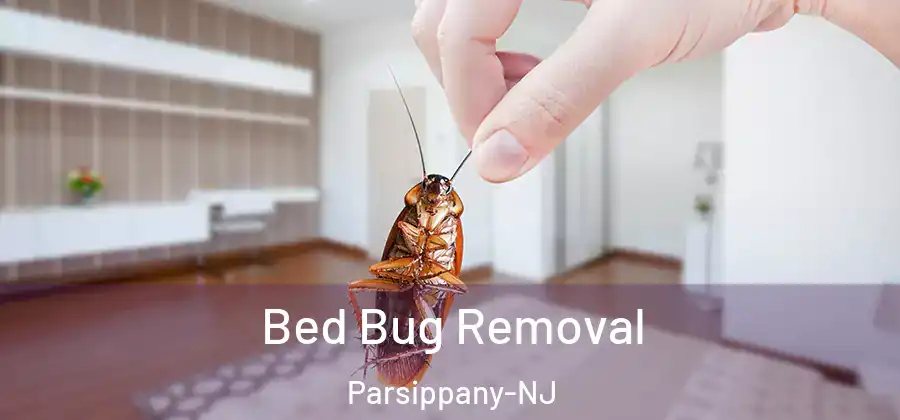 Bed Bug Removal Parsippany-NJ