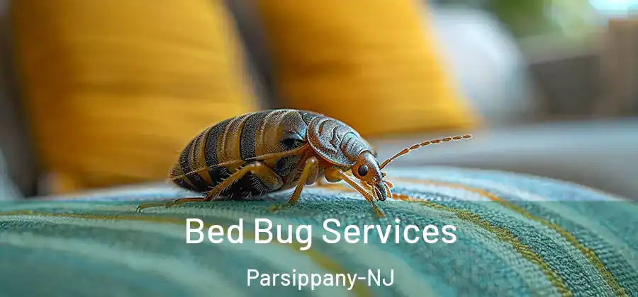  Bed Bug Services Parsippany-NJ