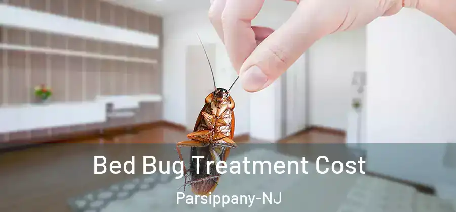 Bed Bug Treatment Cost Parsippany-NJ