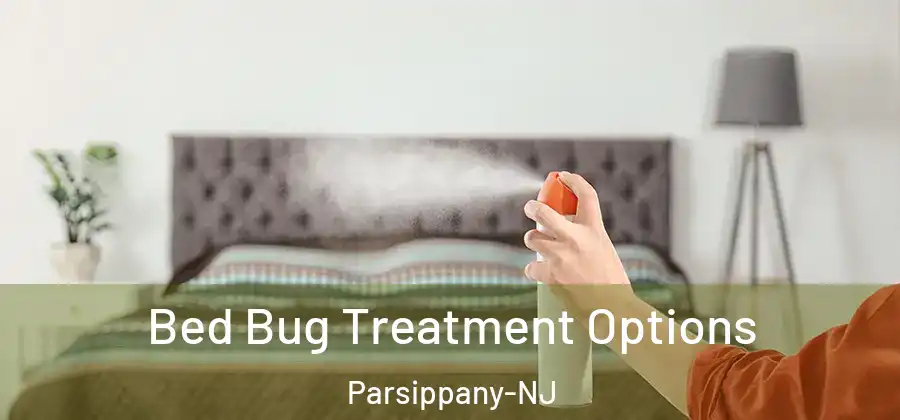 Bed Bug Treatment Options Parsippany-NJ