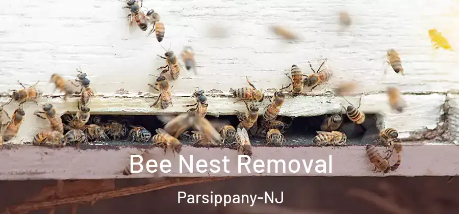 Bee Nest Removal Parsippany-NJ