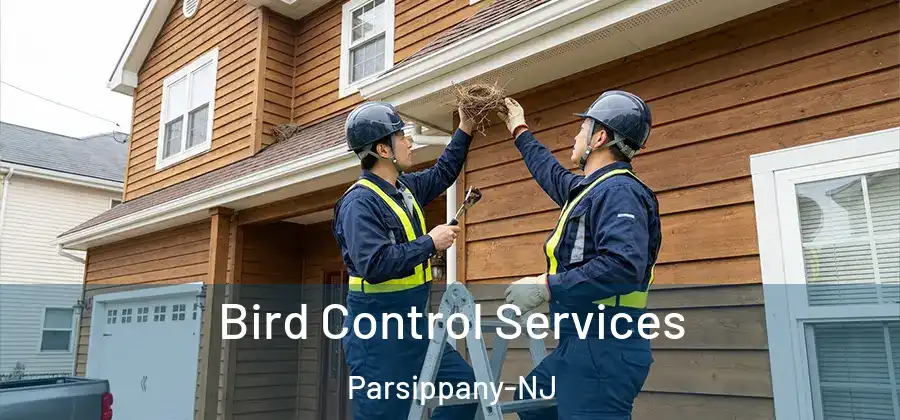 Bird Control Services Parsippany-NJ