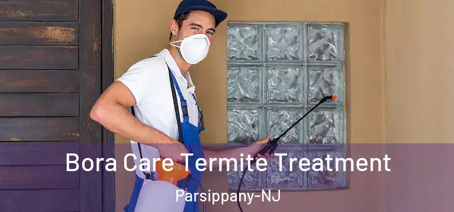 Bora Care Termite Treatment Parsippany-NJ