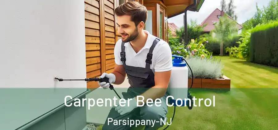 Carpenter Bee Control Parsippany-NJ