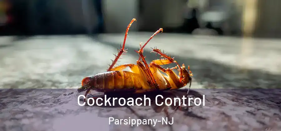  Cockroach Control Parsippany-NJ
