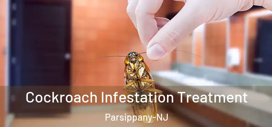 Cockroach Infestation Treatment Parsippany-NJ