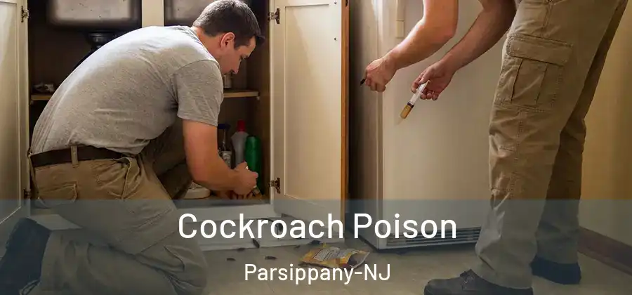 Cockroach Poison Parsippany-NJ