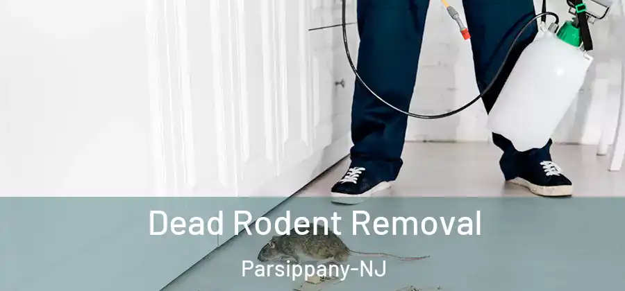 Dead Rodent Removal Parsippany-NJ