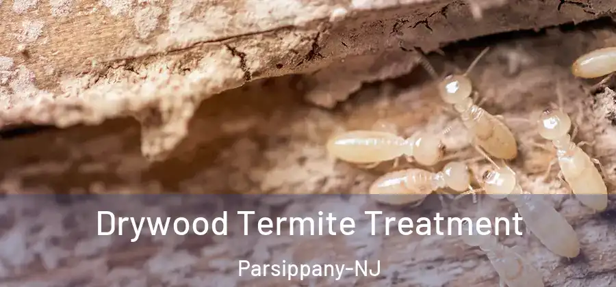Drywood Termite Treatment Parsippany-NJ