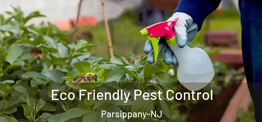 Eco Friendly Pest Control Parsippany-NJ