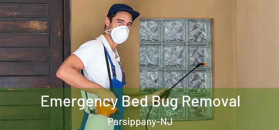 Emergency Bed Bug Removal Parsippany-NJ