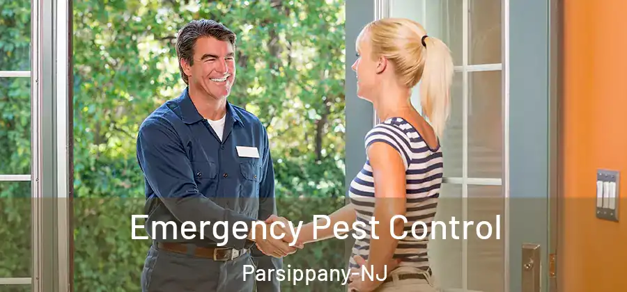 Emergency Pest Control Parsippany-NJ