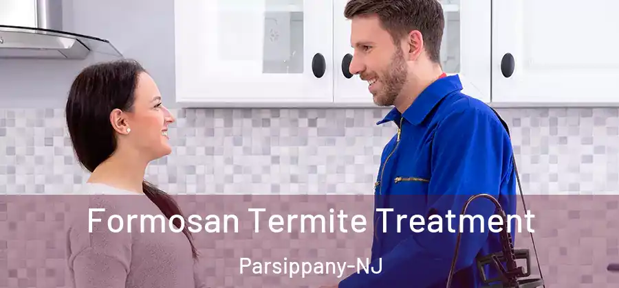 Formosan Termite Treatment Parsippany-NJ