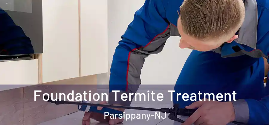  Foundation Termite Treatment Parsippany-NJ