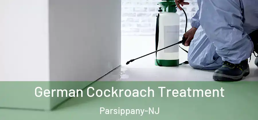German Cockroach Treatment Parsippany-NJ
