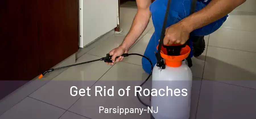Get Rid of Roaches Parsippany-NJ