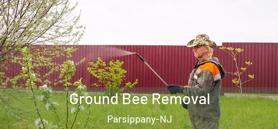 Ground Bee Removal Parsippany-NJ
