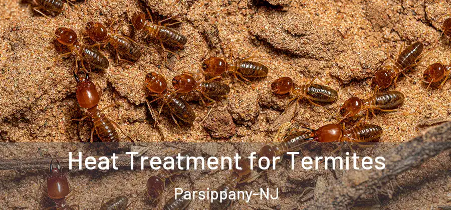 Heat Treatment for Termites Parsippany-NJ