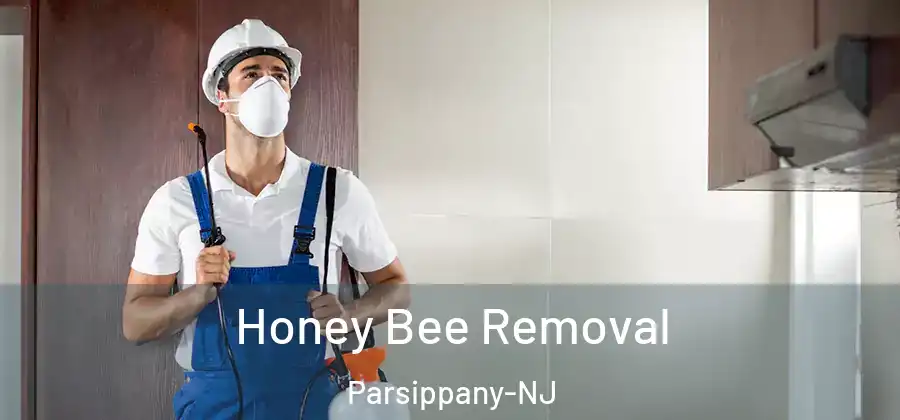Honey Bee Removal Parsippany-NJ