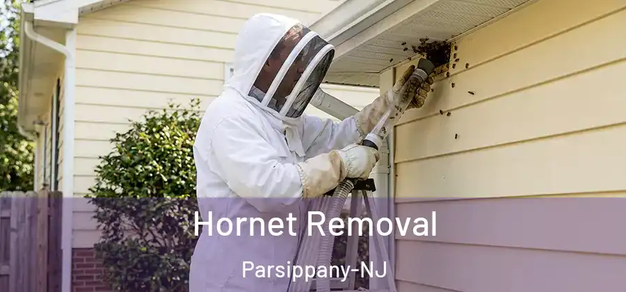  Hornet Removal Parsippany-NJ