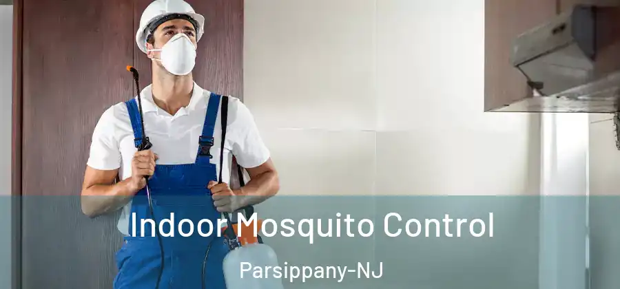 Indoor Mosquito Control Parsippany-NJ