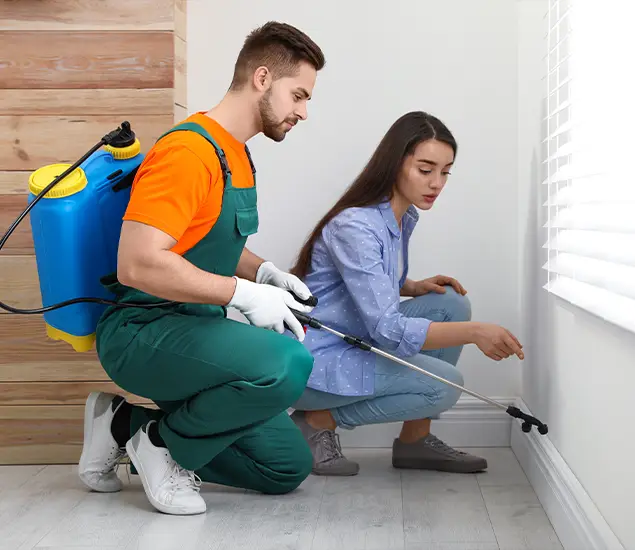 Trusted Affordable Bed Bug Treatment Experts in Parsippany, NJ