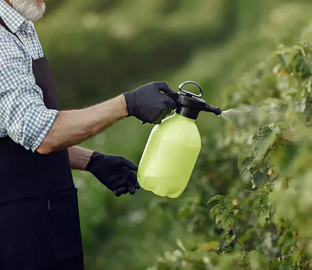 Your Proven Mosquito Treatment Company in Parsippany, NJ