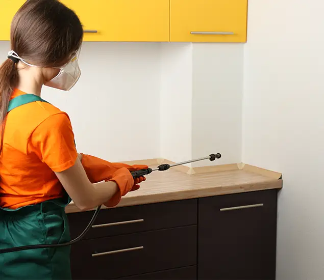 Trusted Bed Bug Pest Control Specialist in Parsippany, NJ