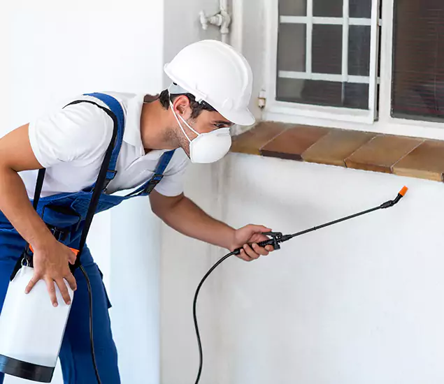 Your Professional Cockroach Exterminator in Parsippany, NJ