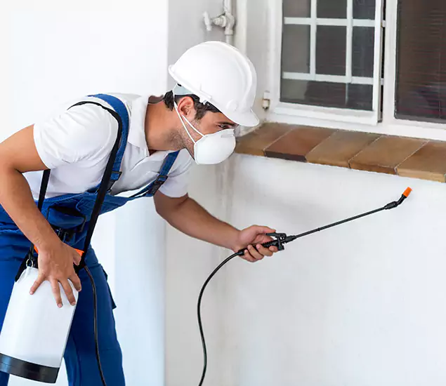 Commercial Pest Control
