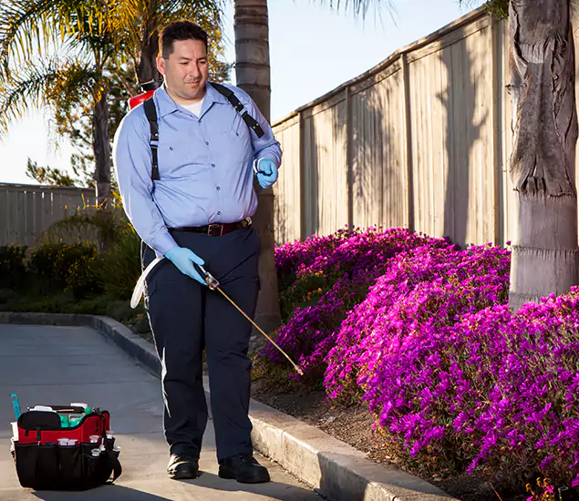 About Our Eco Safe Pest Control Experts in Parsippany, NJ