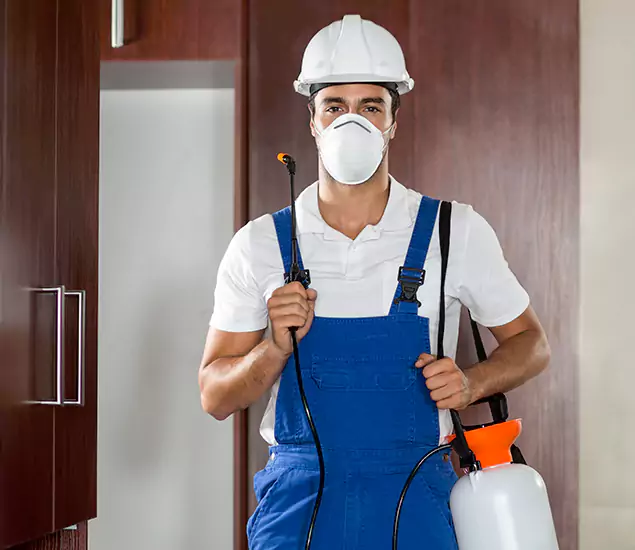 Trusted Exterminator and Pest Exterminator Professionals in Parsippany, NJ