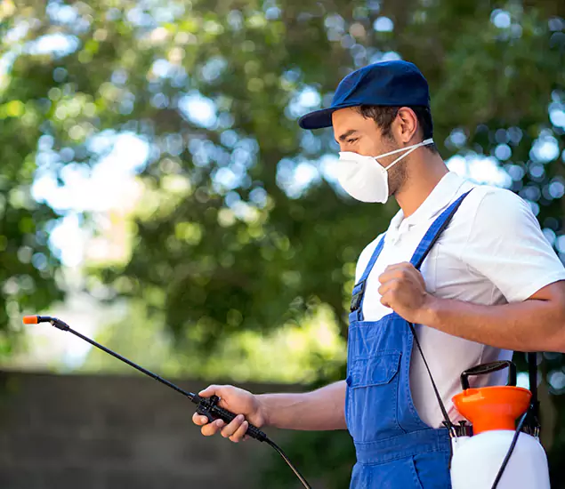 Your Trusted Flea and Tick Control in Parsippany, NJ